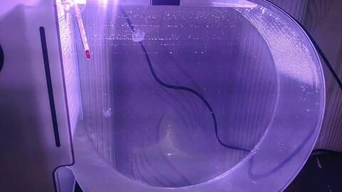 水母魚缸用什么好：水母魚缸如何選擇 水母魚缸用什么好：水母魚缸如何選擇 魚缸百科 第4張