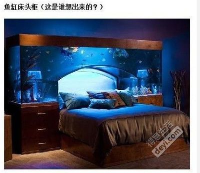 魚缸床頭柜 擺放風水注意事項（如何正確擺放魚缸床頭柜）