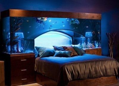 魚缸床頭柜 擺放風水注意事項（如何正確擺放魚缸床頭柜）