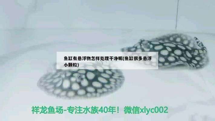 魚缸 懸浮物：影響魚缸懸浮物產生和分布的因素