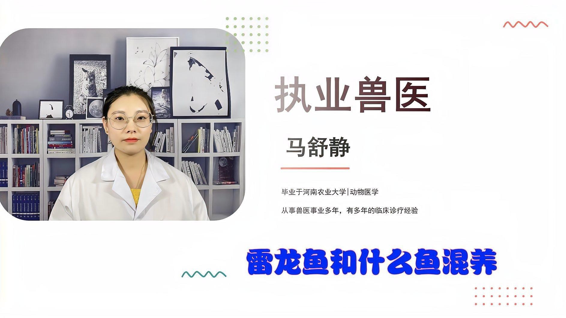 可以和雷龍魚混養(yǎng)的魚