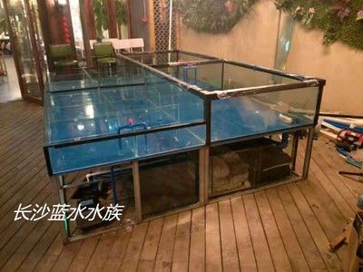 海鮮魚缸消毒方法：海洋生物學(xué)家眼中的魚缸消毒海洋生物學(xué)家眼中的魚缸消毒方法