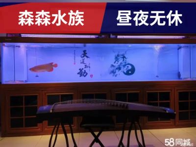海鮮魚缸消毒方法：海洋生物學(xué)家眼中的魚缸消毒海洋生物學(xué)家眼中的魚缸消毒方法
