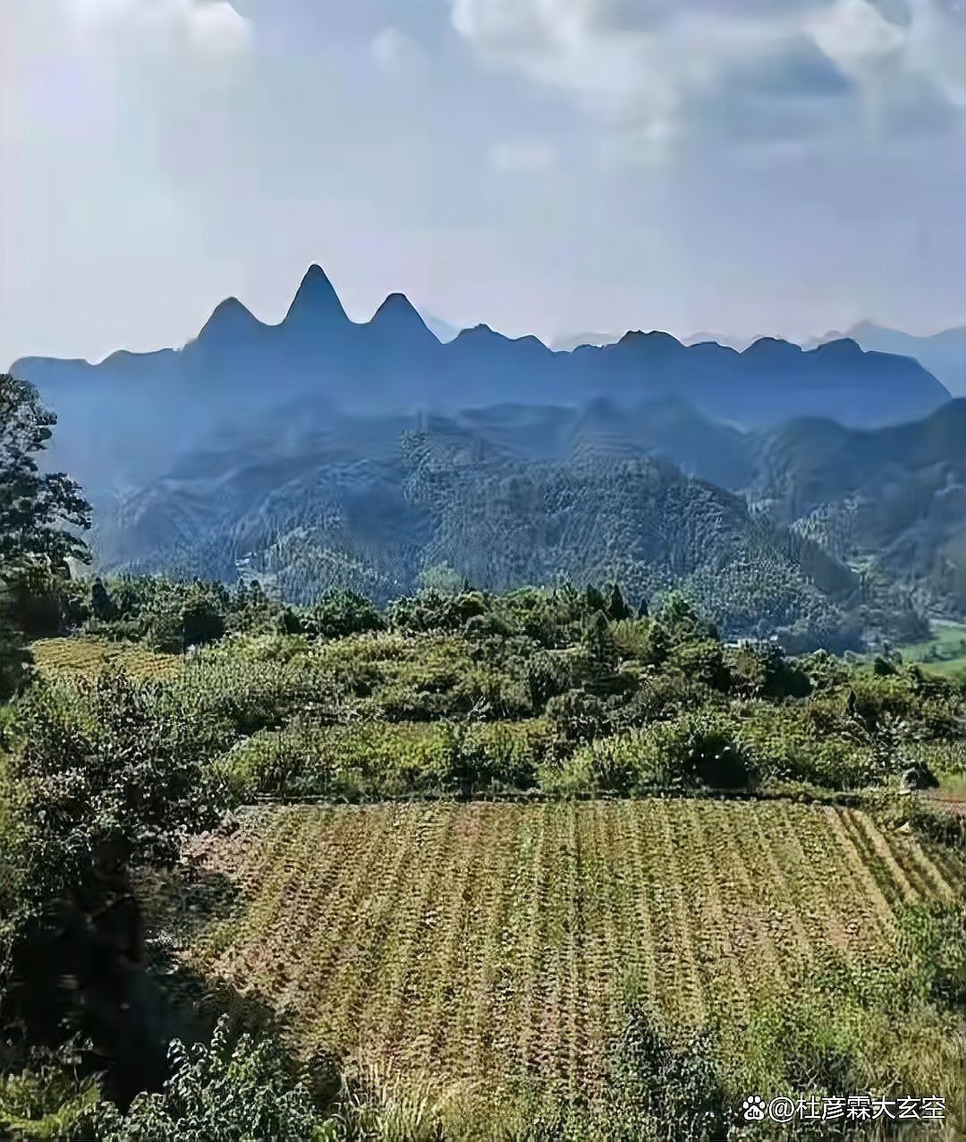 倒側騎龍穴的具體位置在哪里？ 倒側騎龍穴的具體位置在哪里？ 龍魚百科 第4張