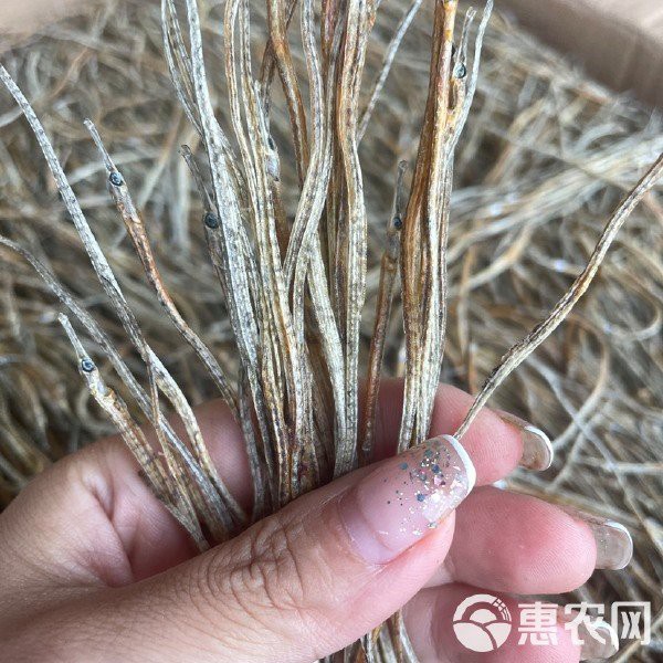 海龍干的價格差異大嗎？ 海龍干的價格差異大嗎？ 龍魚百科 第14張