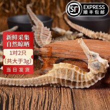 海龍干的價格差異大嗎？ 海龍干的價格差異大嗎？ 龍魚百科 第16張