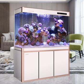 閩江魚缸是哪里產的魚：閩江魚缸與其他品牌的比較