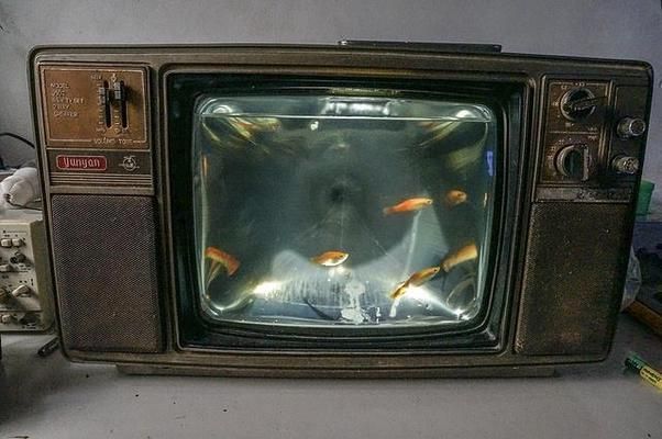 夢想魚缸：夢想魚缸的概念及其對個人心理健康的積極作用
