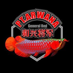 和興龍魚旗艦店：和興龍魚在不同地區的旗艦店