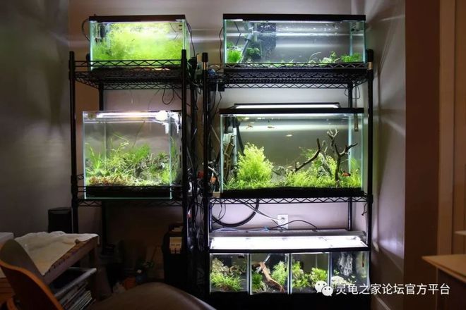 廣饒地區的二手魚缸出售信息如何鑒別其質量至關重要：58同城二手魚缸交易
