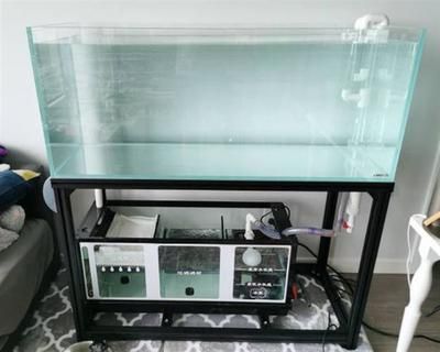 魚缸底濾魚缸底濾的安裝步驟和注意事項和注意事項：魚缸底濾的發展史 魚缸底濾魚缸底濾的安裝步驟和注意事項和注意事項：魚缸底濾的發展史 魚缸百科 第2張