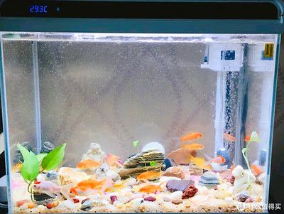森森魚(yú)缸he480 森森魚(yú)缸he480 魚(yú)缸百科 第1張
