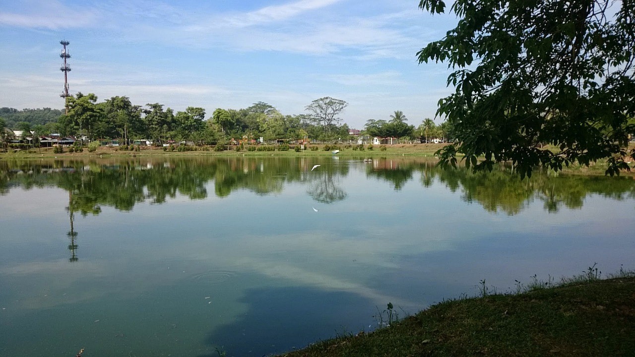 柳州市日日花木園（柳州市日日花木園地址）