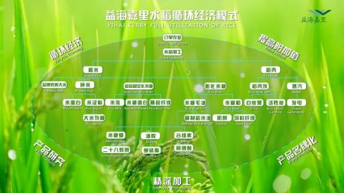 金龍魚的估值是個迷，金龍魚市場競爭力分析：市值蒸發高達6500億元