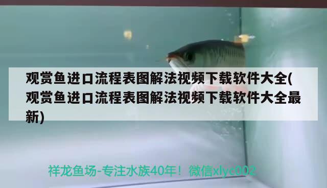龍魚搭配8條混養魚：龍魚搭配8條混養魚好嗎