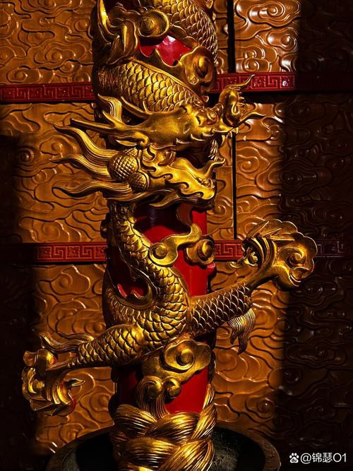 哪里可以找到金龍圖片素材？ 哪里可以找到金龍圖片素材？ 龍魚百科 第8張