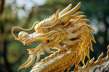 哪里可以找到金龍圖片素材？ 哪里可以找到金龍圖片素材？ 龍魚百科 第24張