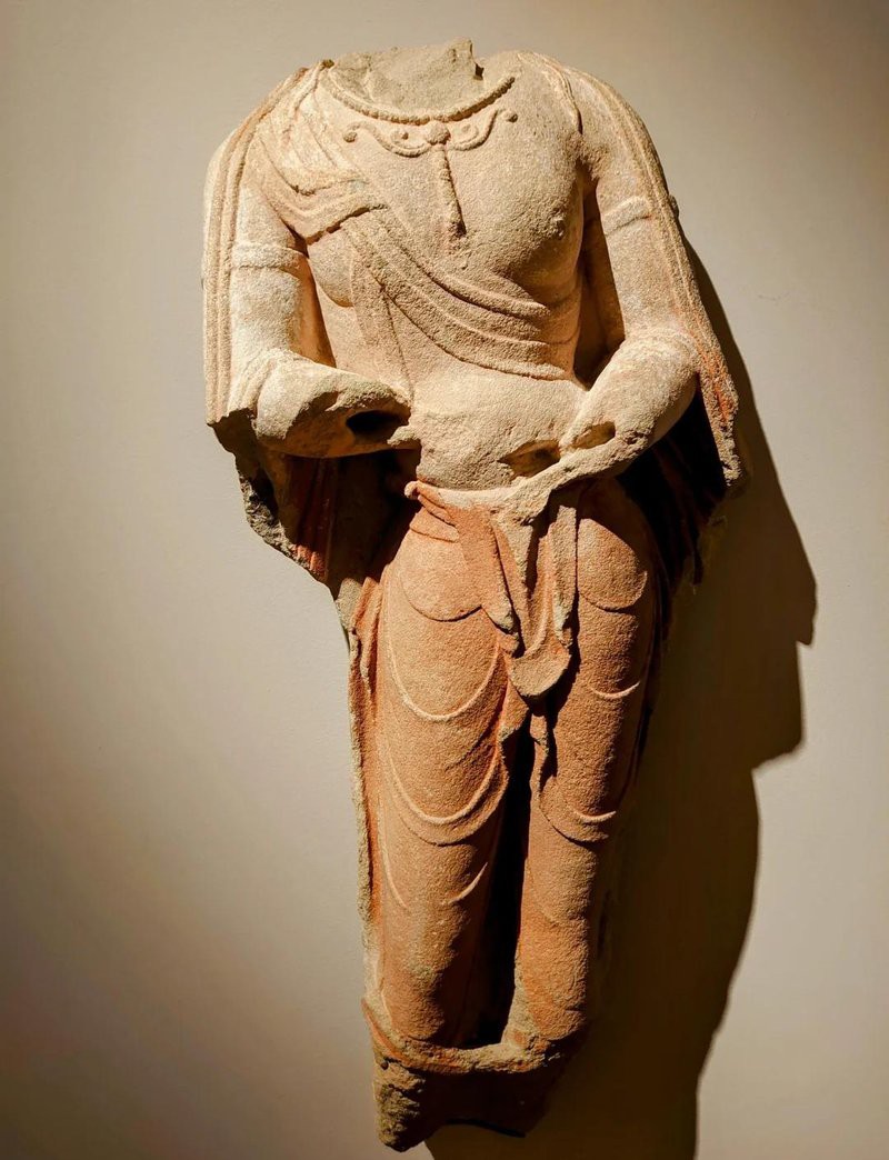 哪里可以找到金龍圖片素材？ 哪里可以找到金龍圖片素材？ 龍魚百科 第28張