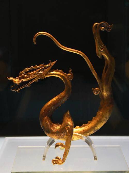 哪里可以找到金龍圖片素材？ 哪里可以找到金龍圖片素材？ 龍魚百科 第10張