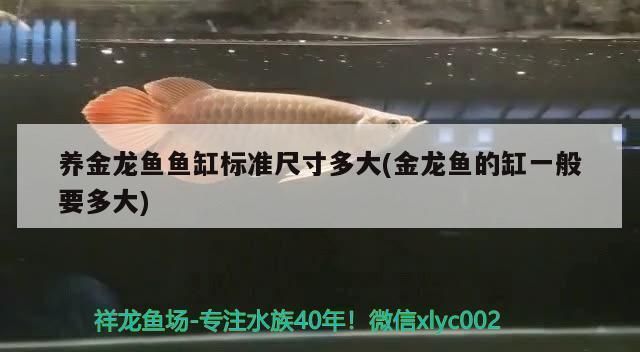 龍魚缸推薦尺寸表：龍魚缸推薦尺寸為長150厘米，寬80厘米，高60厘米