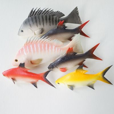 龍魚吃什么水果比較好：龍魚吃什么水果好