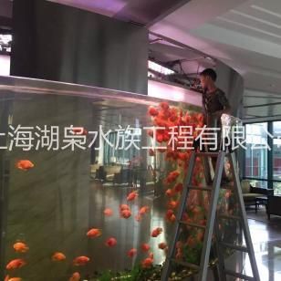 廣州有多家公司提供專業(yè)魚缸定做服務(wù)價格范圍從幾百元到上萬元不等：廣州定做魚缸價格 廣州有多家公司提供專業(yè)魚缸定做服務(wù)價格范圍從幾百元到上萬元不等：廣州定做魚缸價格 魚缸百科 第4張