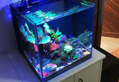 藍(lán)甸魚缸：藍(lán)甸魚缸用戶評(píng)價(jià)匯總 藍(lán)甸魚缸：藍(lán)甸魚缸用戶評(píng)價(jià)匯總 魚缸百科 第3張