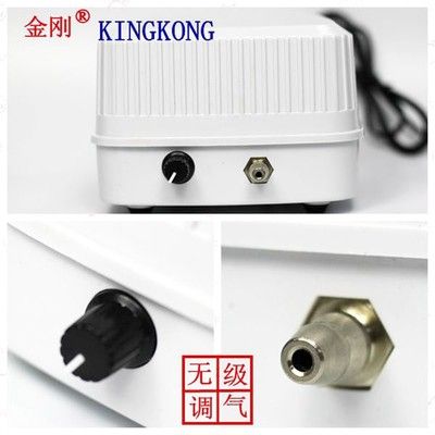 龍魚氧氣泵氣量大小（龍魚氧氣泵的氣量大小及其對龍魚健康的影響）