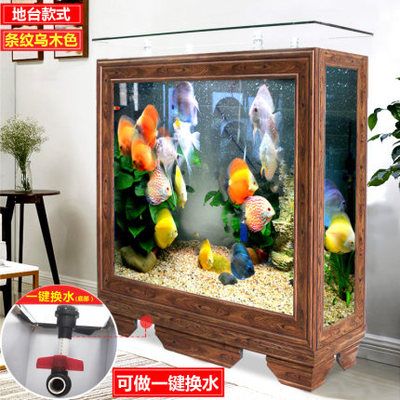 喜灝（xihao）魚缸：喜灝魚缸的創意設計特點