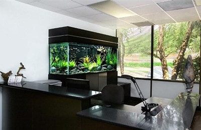 漳浦縣舞動水族店（漳浦縣舞動水族店地址）