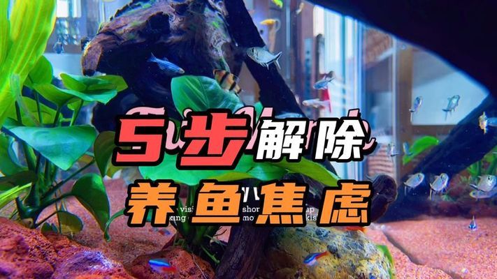<strong><mark>合肥</mark></strong>水精靈水族館有限公司（<strong><mark>合肥</mark></strong>水精靈水族館有限公司怎么樣）