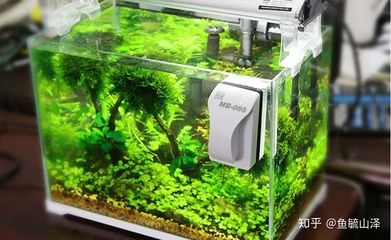 魚缸用增氧泵價格是多少:魚缸增氧機(jī)-xtrac增氧機(jī)-xtrac增氧機(jī) 哪種魚缸刷便宜又好用:哪種魚缸刷既便宜又好用 魚缸百科 哪種魚缸刷便宜又好用:哪種魚缸刷既便宜又好用 哪種魚缸刷便宜又好用:哪種魚缸刷既便宜又好用 魚缸百科