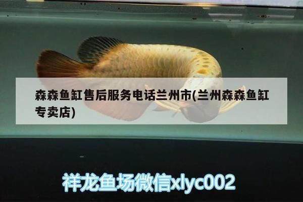 森森水族魚缸售后電話：森森水族魚缸售后電話信息 森森水族魚缸售后電話：森森水族魚缸售后電話信息 魚缸百科 第1張