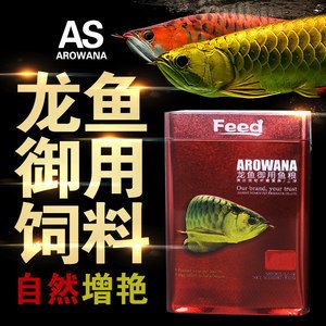 金龍魚吃什么食料最好