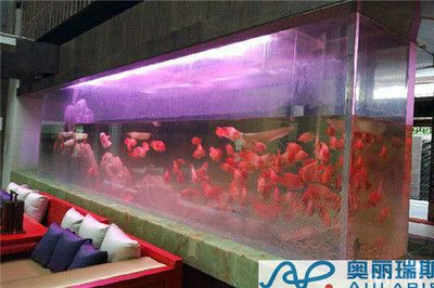 <strong><mark>固安</mark></strong>哪里有賣魚缸的（<strong><mark>固安</mark></strong>地區(qū)多家店鋪和銷售部提供魚缸銷售服務(wù)以下信息）