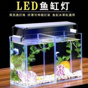 觀賞魚缸的燈在閱讀延伸系統中扮演著什么作用：觀賞魚缸燈在促進水生植物生態平衡和觀賞魚缸生態平衡 觀賞魚缸的燈在閱讀延伸系統中扮演著什么作用：觀賞魚缸燈在促進水生植物生態平衡和觀賞魚缸生態平衡 魚缸百科 第3張
