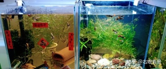 超白玻璃材質探秘超白玻璃材質探秘超白魚缸價格：定制超白魚缸價格