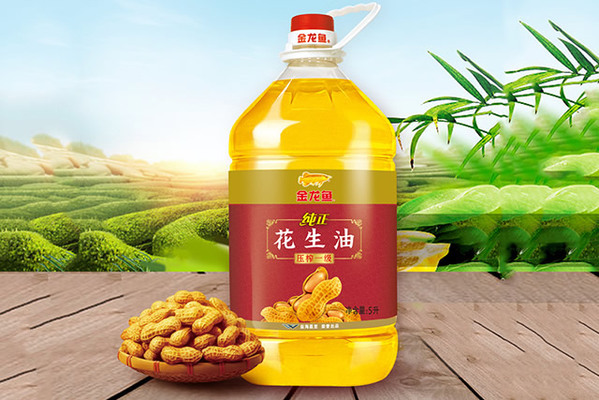 我愛我家水族寵物用品（<strong><mark>杭州</mark></strong>）淘寶店（我愛我家寵物店地址）