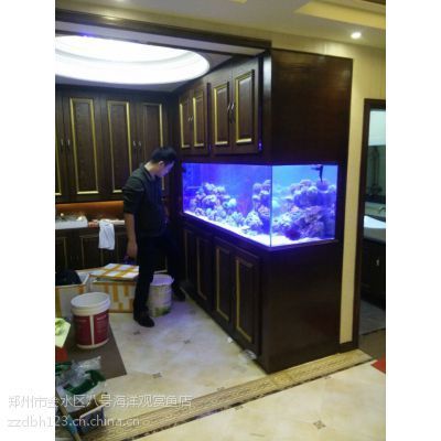 如何挑選合適的魚缸尺寸：養魚新手入門指南 如何挑選合適的魚缸尺寸：養魚新手入門指南 魚缸百科 第4張