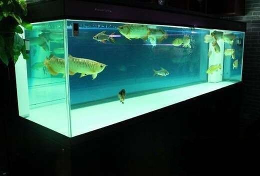 購買成品魚缸需要注意哪些方面：購買成品魚缸時(shí)需要注意以下幾個(gè)方面以下幾個(gè)方面