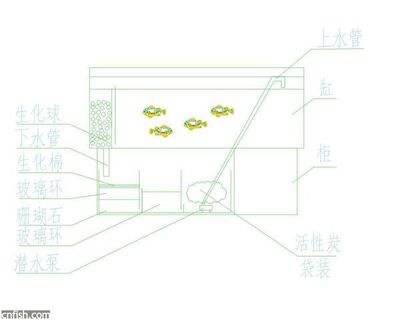 <strong><mark>乳山</mark></strong>市新星水族館（<strong><mark>乳山</mark></strong>市新星水族館電話(huà)）