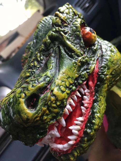 小型恐龍魚品種圖片