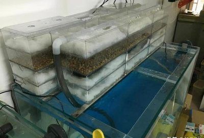 如何調節魚缸內的氧氣含量:調節魚缸內氧氣含量是維持水中生態平衡的關鍵以下是一些有效方法 魚缸百科 第4張 如何調節魚缸內的氧氣含量:調節魚缸內氧氣含量是維持水中生態平衡的關鍵以下是一些有效方法 如何調節魚缸內的氧氣含量:調節魚缸內氧氣含量是維持水中生態平衡的關鍵以下是一些有效方法 魚缸百科 第4張