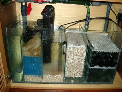 魚缸水渾濁怎么變清高錳酸鉀（魚缸水渾濁怎么變清）