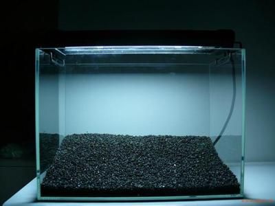 魚缸水渾濁怎么變清高錳酸鉀（魚缸水渾濁怎么變清）