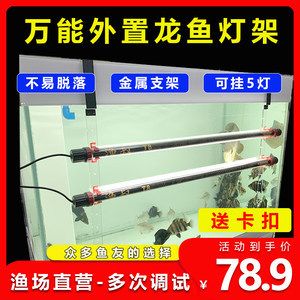 紅龍魚多大上側燈：紅龍魚的側燈使用時間和方式