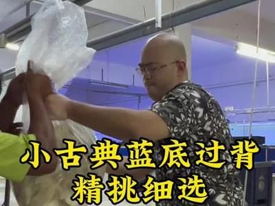 促進龍魚發色的藥物：促進龍魚發色的方法