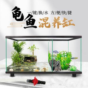 桌面魚缸布景（桌面魚缸布景的一些關鍵要素和步驟） 桌面魚缸布景（桌面魚缸布景的一些關鍵要素和步驟） 魚缸百科 第2張