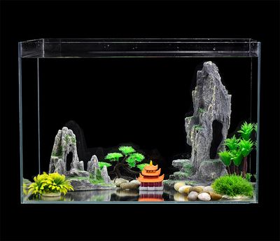 桌面魚缸布景（桌面魚缸布景的一些關鍵要素和步驟） 桌面魚缸布景（桌面魚缸布景的一些關鍵要素和步驟） 魚缸百科 第4張