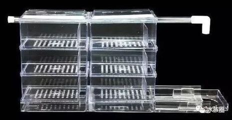 魚缸過濾材料能否直接放在魚缸里而生化過濾材料的選擇：魚缸過濾材料如何選擇 魚缸過濾材料能否直接放在魚缸里而生化過濾材料的選擇：魚缸過濾材料如何選擇 魚缸百科 第2張